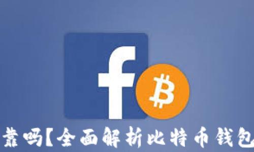 
比特派安全可靠吗？全面解析比特币钱包的使用与风险