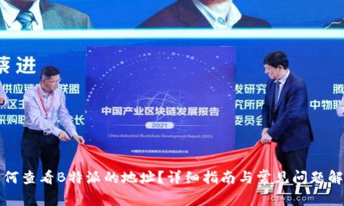 如何查看B特派的地址？详细指南与常见问题解答